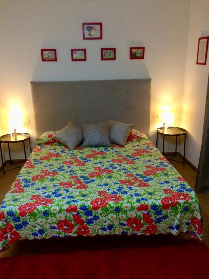 Guesthouse Villa Rosa Berat Exteriör bild