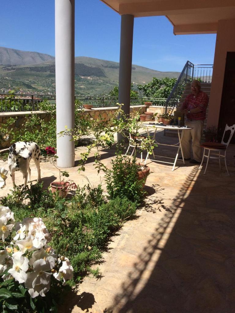 Guesthouse Villa Rosa Berat Rum bild