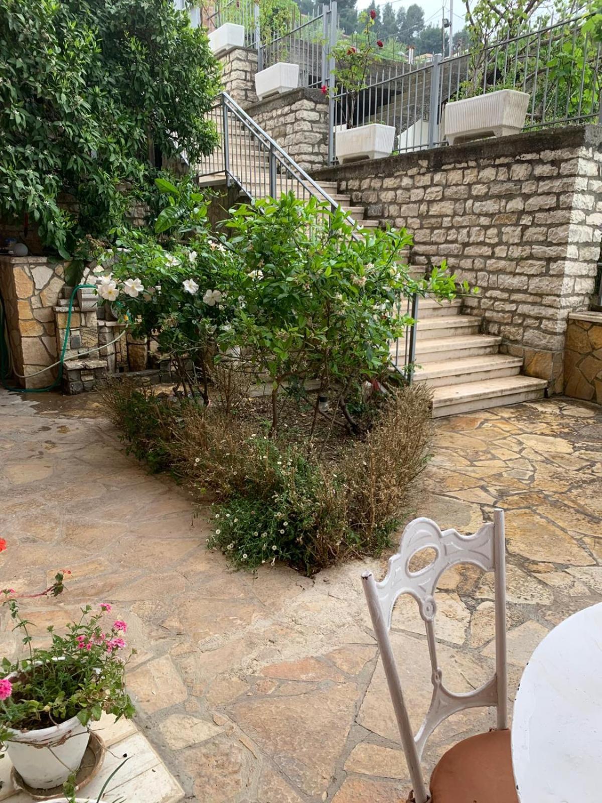 Guesthouse Villa Rosa Berat Rum bild